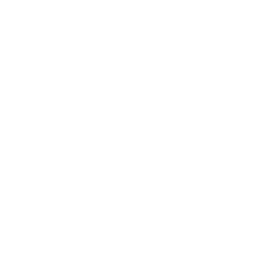 Systeme 50 WordPress-logotype-wordmark-white (1)-120x120