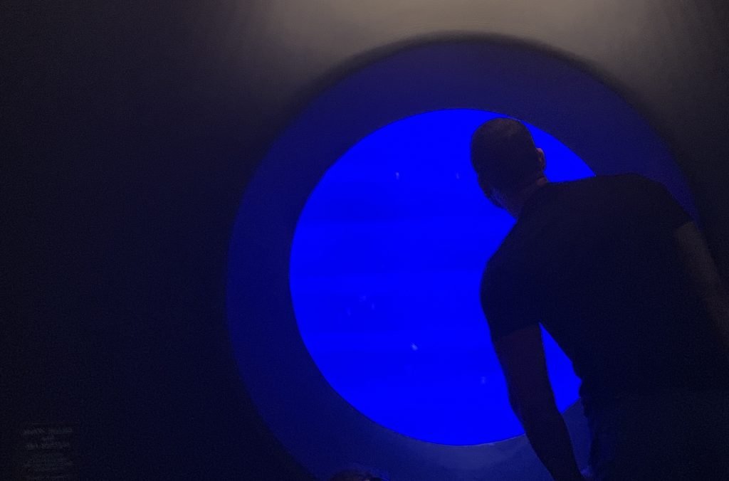 silhouette of a man looking into a glowing neon bl 2026 03 09 22 34 23 utc