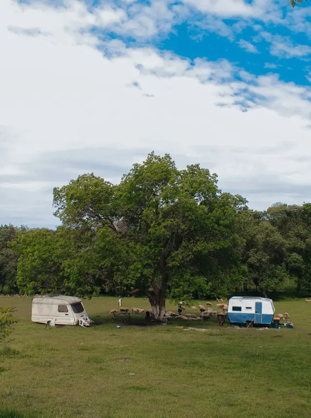 Google Ads