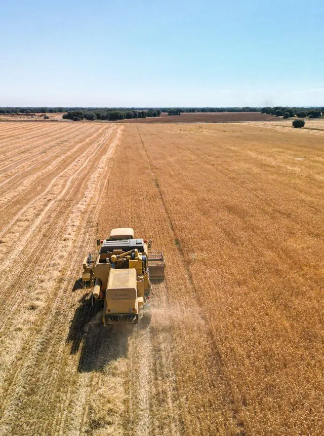 Coopératives agricoles