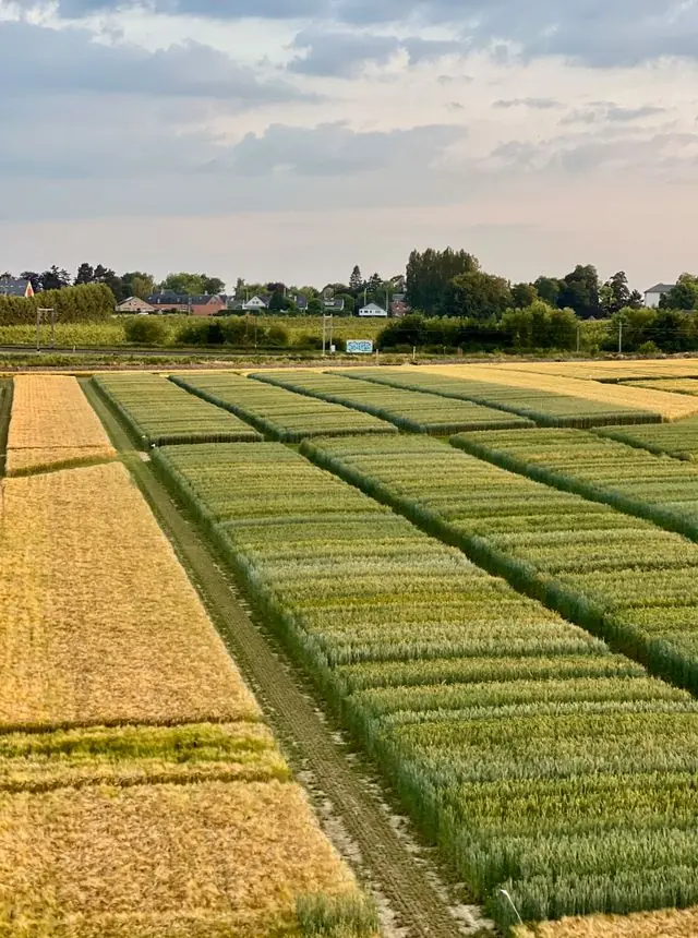 Coopératives agricoles
