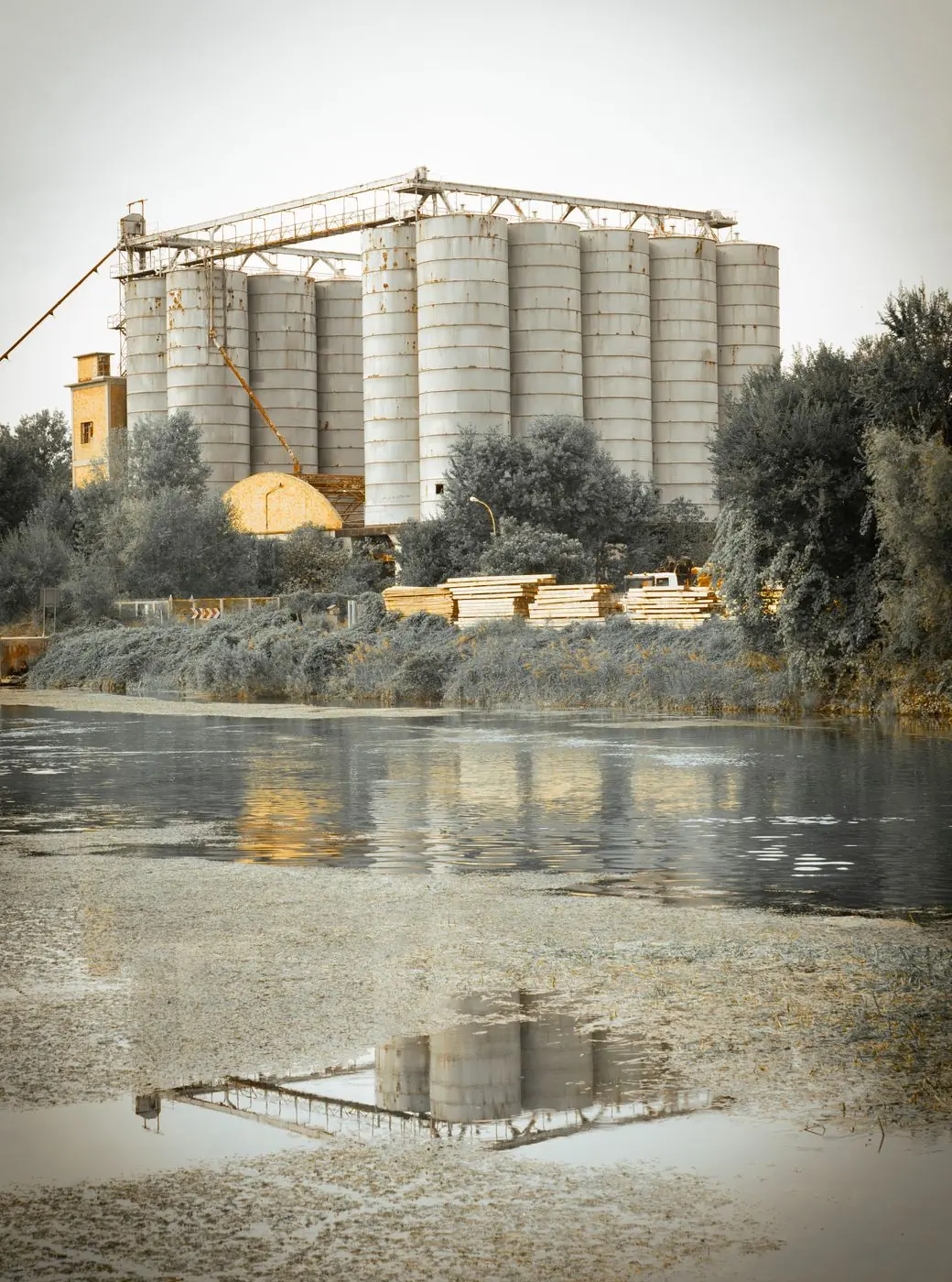 Coopératives agricoles