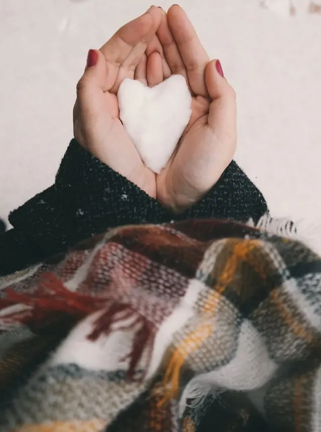 Chargée de relation donateurs