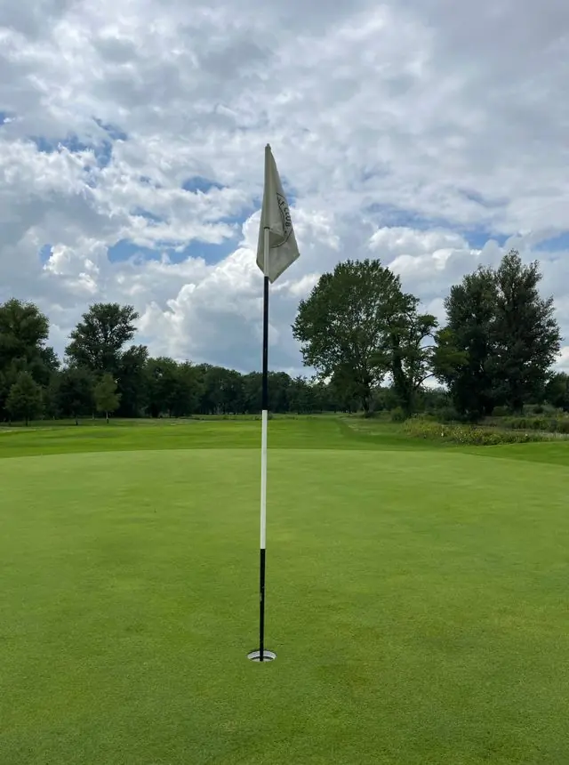 Golfs