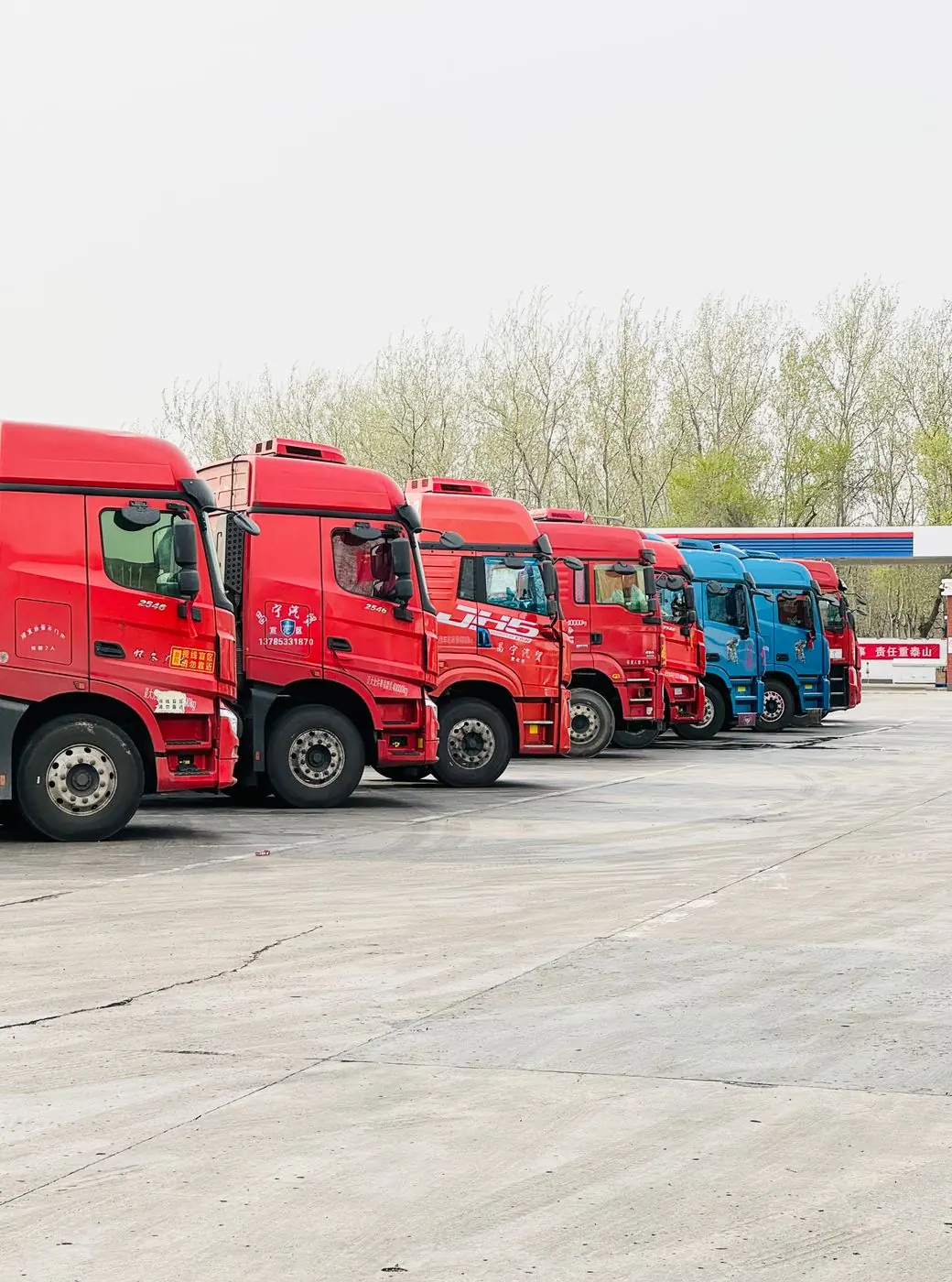 Transporteurs
