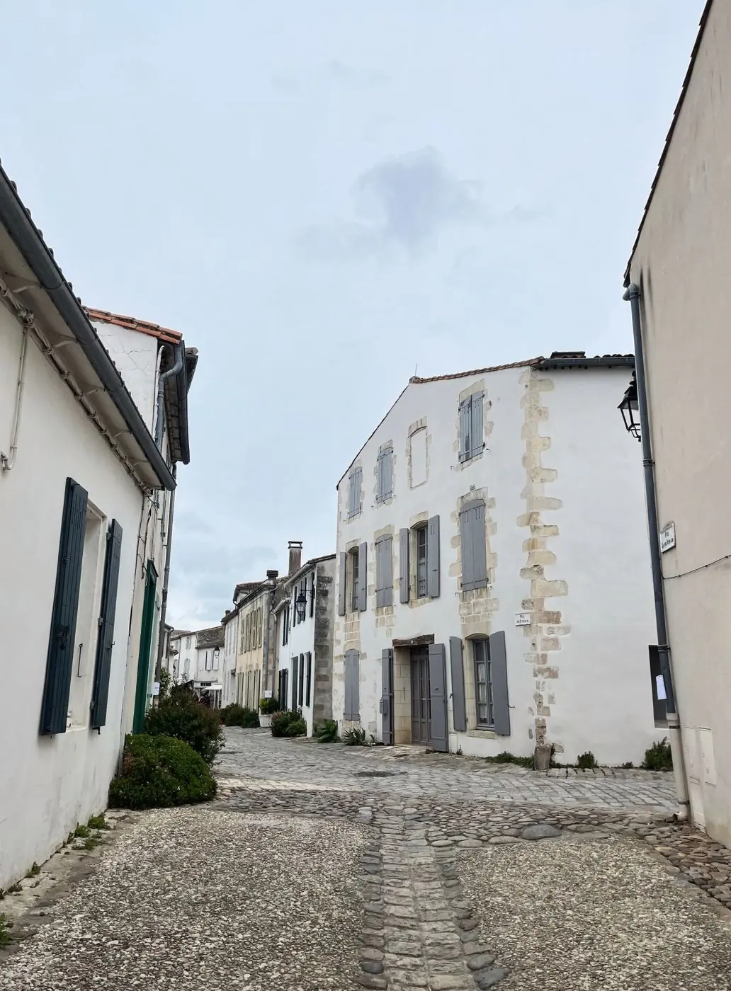 Entreprises de La Roche-sur-Yon